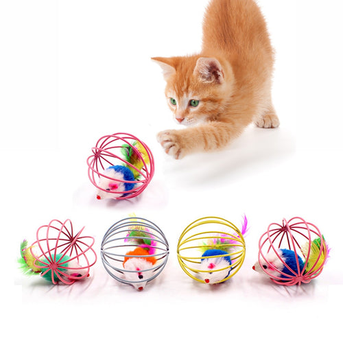 Brinquedos para o Seu Gato se divertir